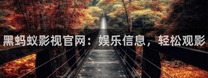 麻豆電影綜合網(wǎng)